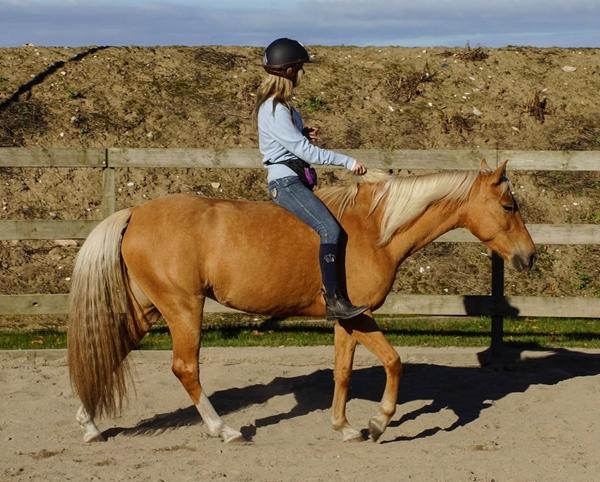 "Hvid" misfarvet hale?