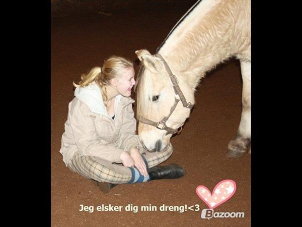 profilbillede