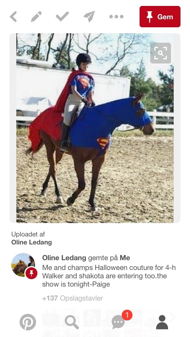 Udklædning til hest og - Skrevet af Silke N