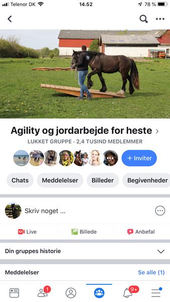 profilbillede