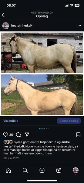 profilbillede