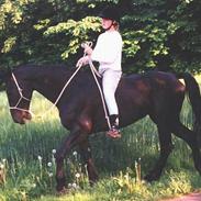 Oldenborg Black Alexa