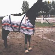 Oldenborg Black Alexa