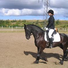 Frieser Loke af Friesergaarden