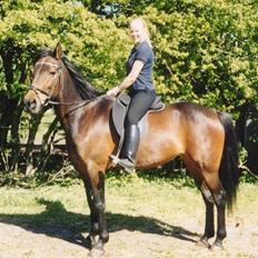 Traver Ranja Harvester