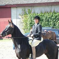 Traver Girl Of Beauty"Afdød"