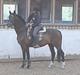 Anden særlig race Charming´s Filur