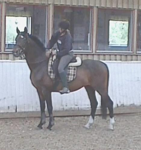 Anden særlig race Charming´s Filur billede 1