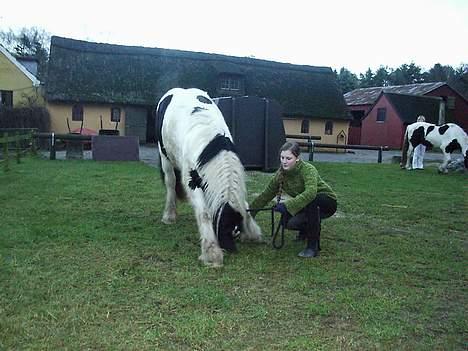 Tinker Bacardi - "godt nok.. kom nu med brødet!!" billede 5