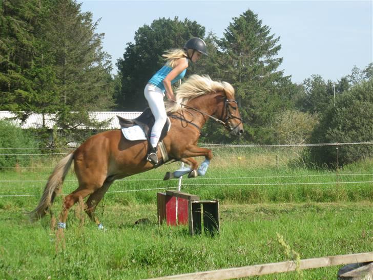 Islænder Tyra Fra Stårup  - Velkommen til min prinsesses profil. (: <3 billede 1