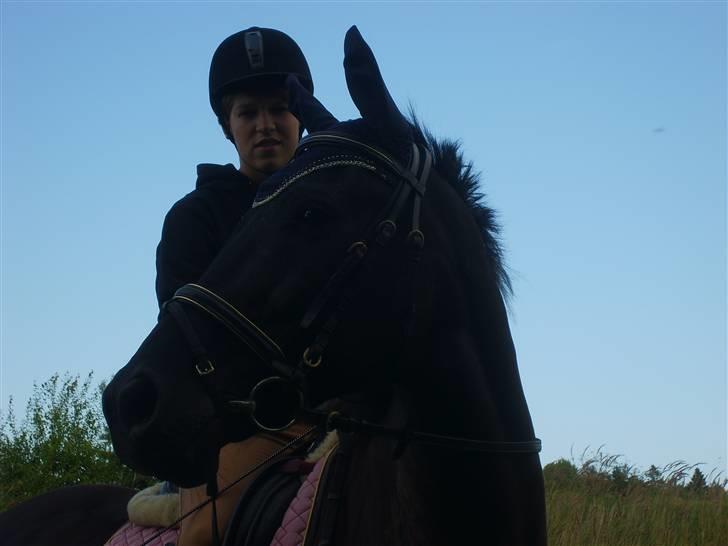 Pinto Monet - Monet billede 2