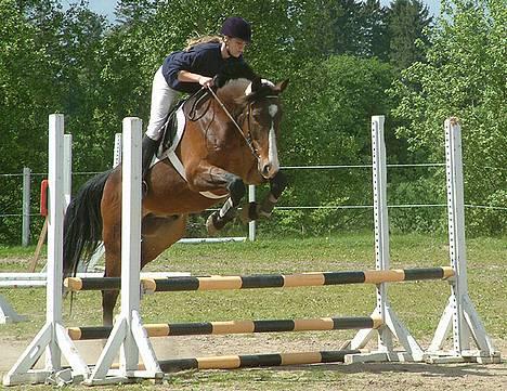 Anden særlig race Malik - Uuups :-D 1 styk vild hest drønende afsted til sit første springstævne;) billede 7