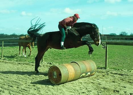 Anden særlig race Malik - April 2004 træning uden udstyr:) billede 8