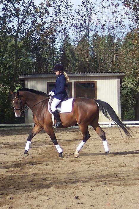 Anden særlig race Malik billede 9