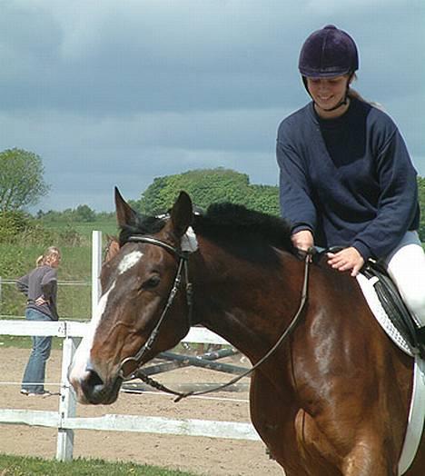 Anden særlig race Malik - Vores første springstævne :-) billede 10