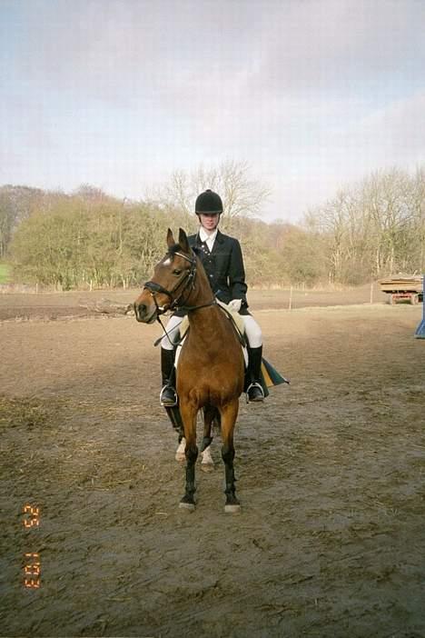 Anden særlig race Jennifer - Jennifer - Til stævne i VOSK billede 3
