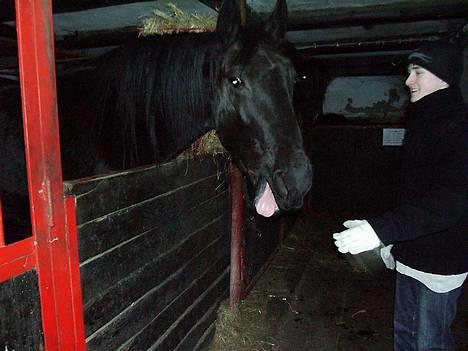 Anden særlig race Koket - så fik man lige et stykke brød af Sune hva? billede 7