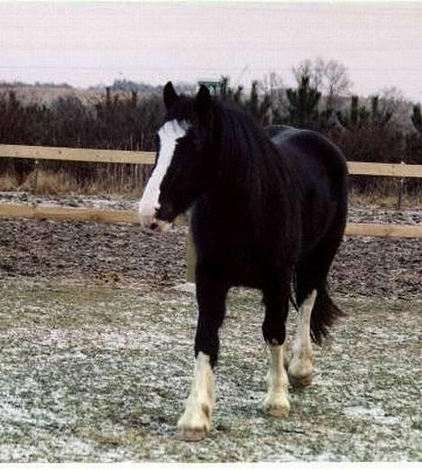 Tinker Lillefix - Lillefix 2 år - december 2002 billede 4