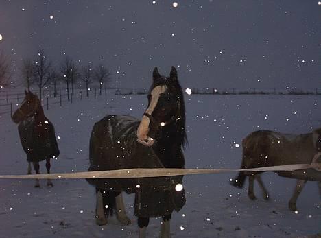 Tinker Lillefix - Snevejr... billede 5