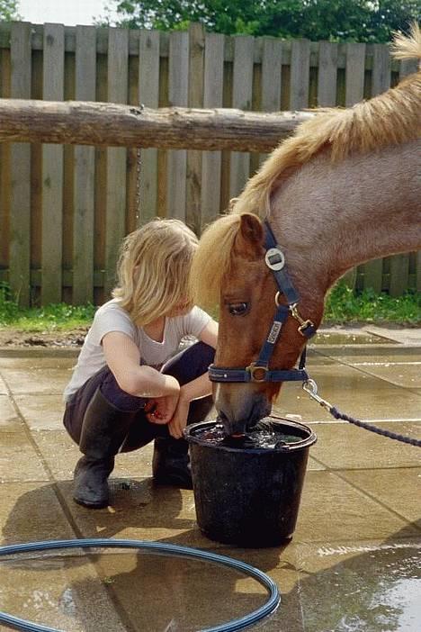 Anden særlig race Rasmus - Rasmus og Lea en varm sommerdag 2003 billede 1
