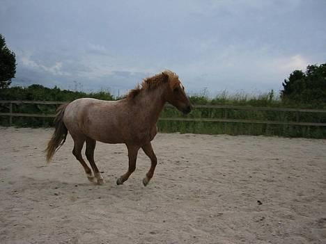 Anden særlig race Rasmus - Så løber jeg lidt.... billede 6