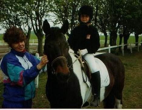 Pinto Saki billede 3