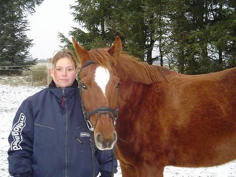 Anden særlig race Bonnie - her er jeg lige kommet hjem fra skov tur.. og på vej på fold billede 9