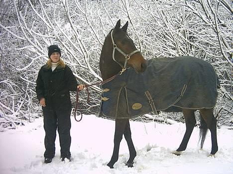 Trakehner MY FAIR TANGO - Tango og mig igen i sneén d. 13 februar 2005... Her er han stadig 5 år... billede 6