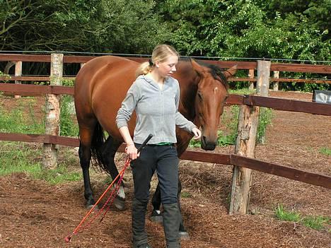 Anden særlig race Liri billede 8