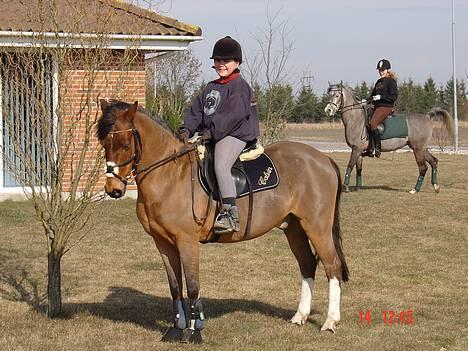 Anden særlig race Calvin Klein <3 R.I.P - Her ser i mig og Calvin Klein i en spring sadel og med spring hoved tøj, i baggrunden har vi Karen og T.A. Madir som også er min hjemme hos mig!!!!:O) billede 4