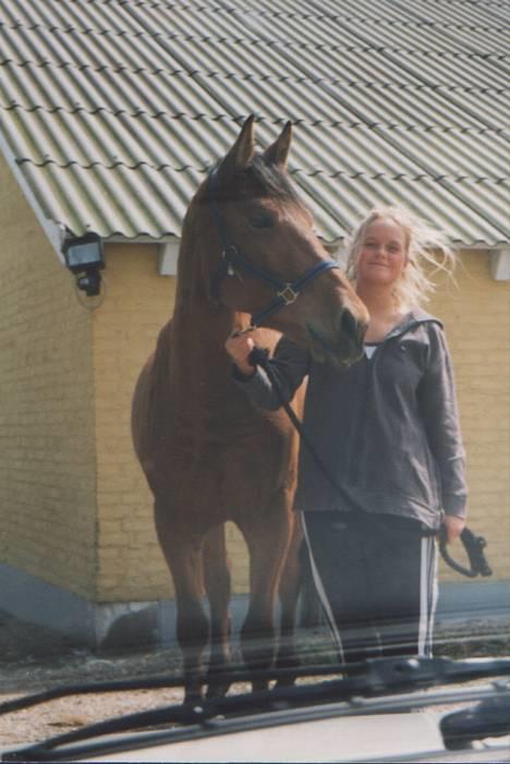 Dansk Varmblod tiffani - tiffani og mig da jeg lige havde fået den , hun er ca. 3 år på det billede billede 2