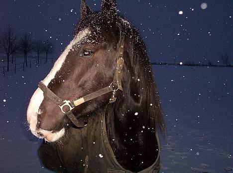 Tinker Lillefix - Januar 2004 - Lillefix snart en stor pige på 4 år billede 1