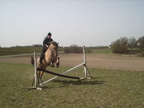 Anden særlig race Freja billede 1