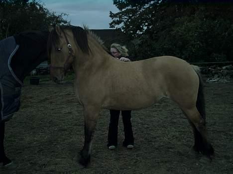 Anden særlig race Freja billede 3