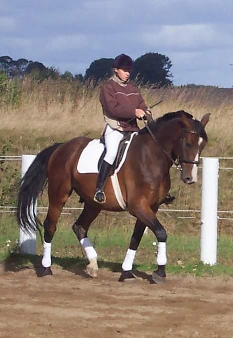 Anden særlig race Malik - På opvarmningsbanen billede 1