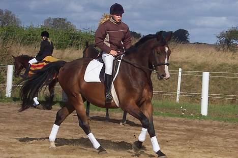 Anden særlig race Malik - Malik har en rigtig dejlig STOR galop:) Heepaaa! billede 2
