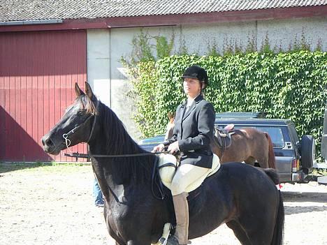 Traver Girl Of Beauty"Afdød" - Ja så er den første jagt gennemført og se hvor stolte vi begge er ;-) billede 1