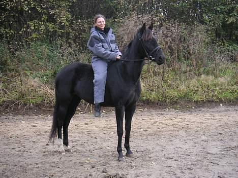 Traver Girl Of Beauty"Afdød" - Ihh hvor man stå pænt når der skal tages billeder billede 4