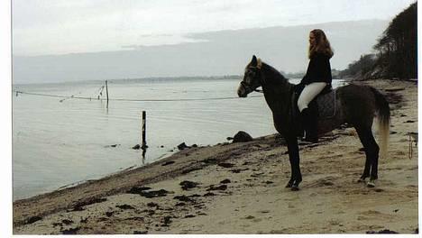 Sportsaraber (A) T.A. Madir - Madir og jeg ved stranden som fotomodel. FY FØJ - jeg har ikke hjelm på ;) billede 2