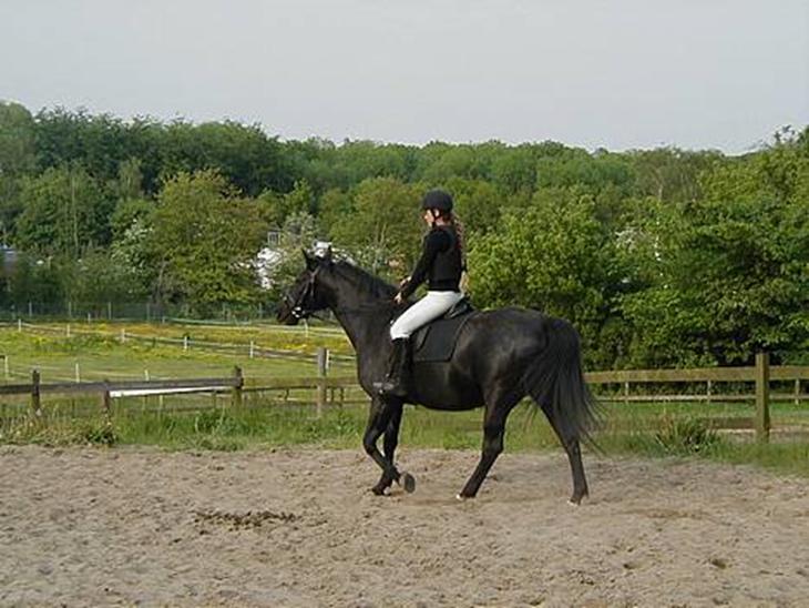 {{currentPhoto.altText}} billede {{currentPhoto.number}}