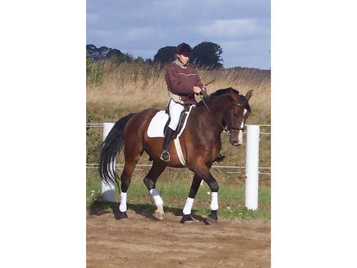 {{currentPhoto.altText}} billede {{currentPhoto.number}}