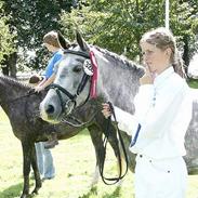 DSP Toftegaards Bella