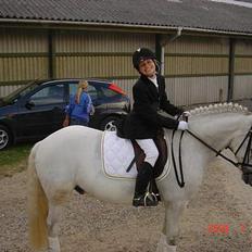 New Forest Odbjergs Pikant-solgt