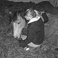 Connemara Mosens Rose Maree