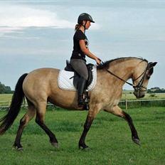 Connemara Salia Maree Manié SOLGT