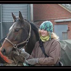 Anden særlig race Pepsi "SOLGT"