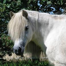 Anden særlig race <3 Laura <3 † R.I.P † 