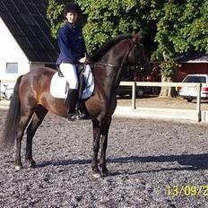 Anden særlig race Picasso