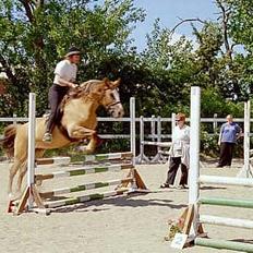 Anden særlig race Sunshine