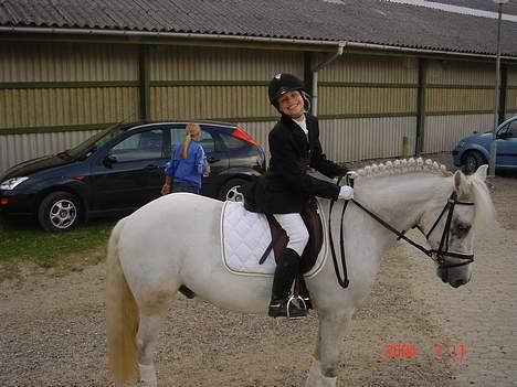 New Forest Odbjergs Pikant-solgt - let´s put a smile on that face :D billede 3